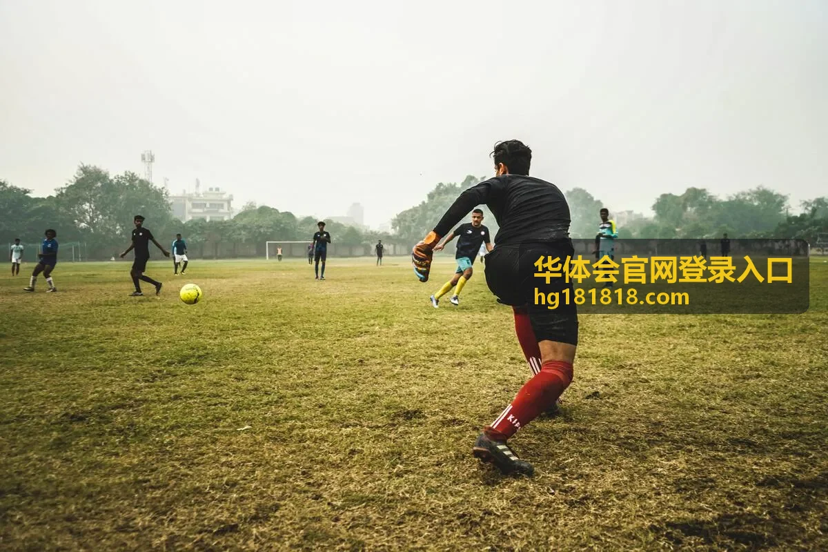 华体会官网登录入口账号与口令填写界面说明