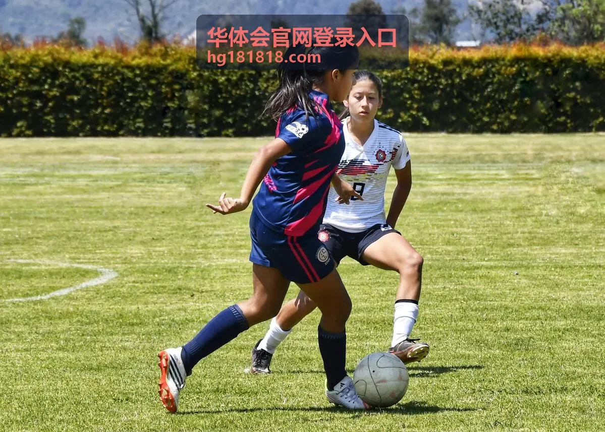 华体会官网登录入口安全验证方式选择界面