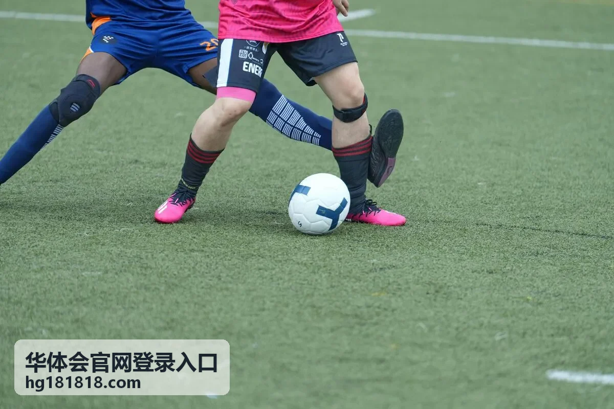 华体会官网登录入口账号安全设置中验证码保护的说明封面