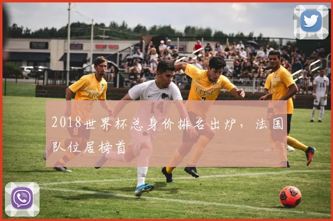 2018世界杯总身价排名出炉,法国队位居榜首