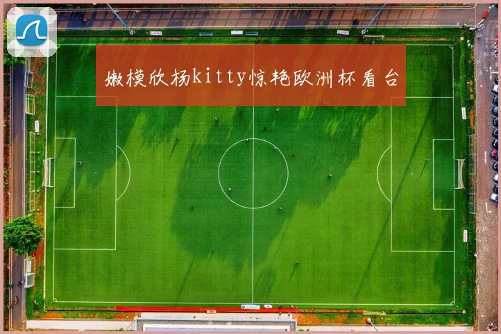 嫩模欣杨kitty惊艳欧洲杯看台