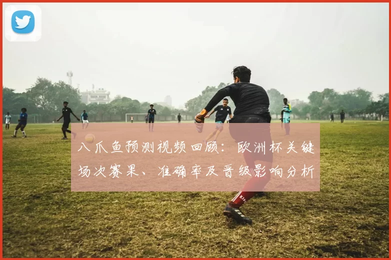 八爪鱼预测视频回顾：欧洲杯关键场次赛果、准确率及晋级影响分析