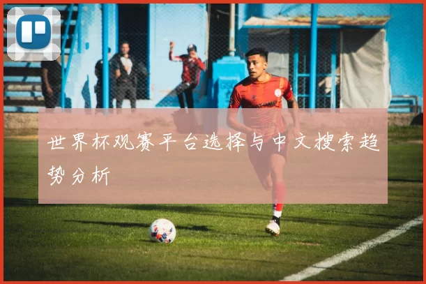 世界杯观赛平台选择与中文搜索趋势分析
