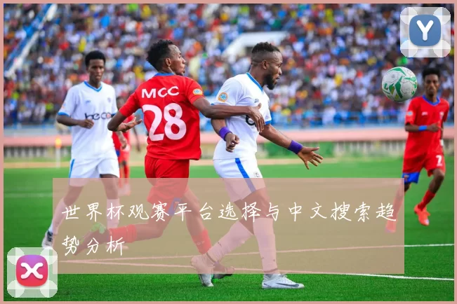 世界杯观赛平台选择与中文搜索趋势分析
