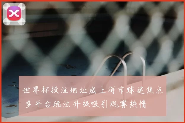 世界杯投注地址成上海市球迷焦点 多平台玩法升级吸引观赛热情