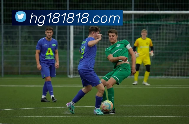 mk体育手机版官网APP 封面图